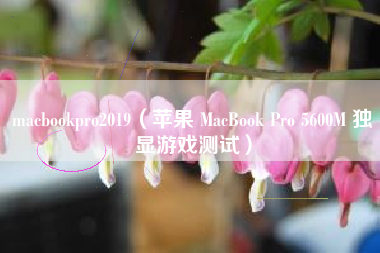macbookpro2019（苹果 MacBook Pro 5600M 独显游戏测试）