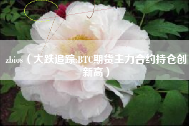 zbios（大跌追踪:BTC期货主力合约持仓创新高）