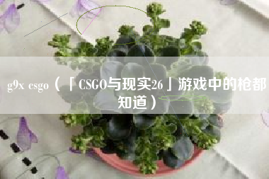 g9x csgo（「CSGO与现实26」游戏中的枪都知道）