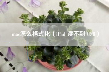 mac怎么格式化（iPad 读不到 USB）