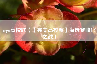 csgo高校联（【完美高校赛】海选赛收官之战）