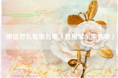 微信怎么看黑名单（直接显示黑名单）