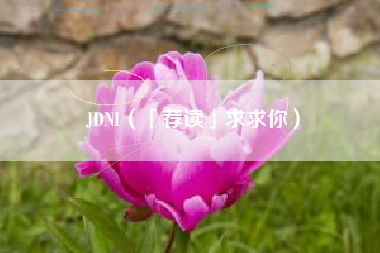 JDNI（「荐读」求求你）