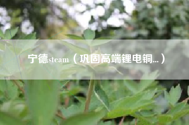 宁德steam（巩固高端锂电铜...）