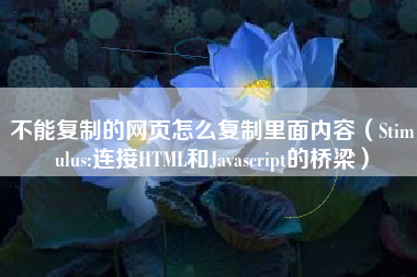 不能复制的网页怎么复制里面内容（Stimulus:连接HTML和Javascript的桥梁）