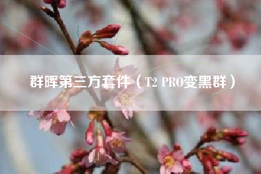 群晖第三方套件（T2 PRO变黑群）