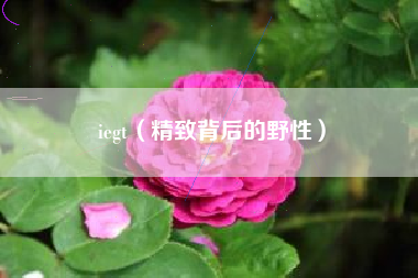 iegt（精致背后的野性）