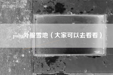 pubg外服雪地（大家可以去看看）