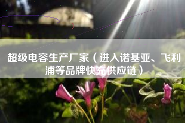 超级电容生产厂家（进入诺基亚、飞利浦等品牌快充供应链）