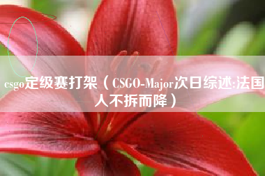 csgo定级赛打架（CSGO-Major次日综述:法国人不拆而降）