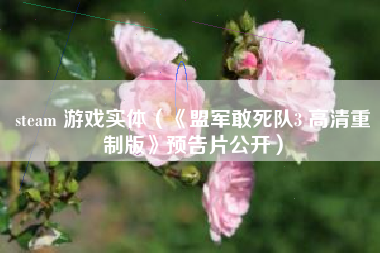 steam 游戏实体（《盟军敢死队3 高清重制版》预告片公开）