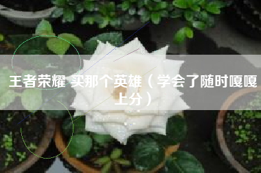 王者荣耀 买那个英雄（学会了随时嘎嘎上分）