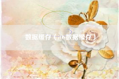数据缓存（iOS数据缓存）