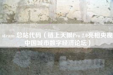 steam 总站代码（链上天眼Pro 2.0亮相央视中国城市数字经济论坛）