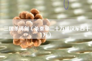 三国杀铸剑（杀秦军二十万破汉军四十万）