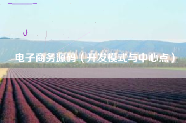 电子商务源码（开发模式与中心点）