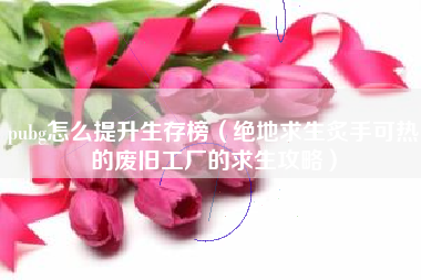 pubg怎么提升生存榜（绝地求生炙手可热的废旧工厂的求生攻略）