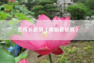 怎样长截屏（电脑截长屏）