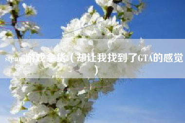 steam游戏拿货（却让我找到了GTA的感觉）