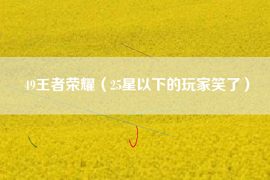 49王者荣耀（25星以下的玩家笑了）
