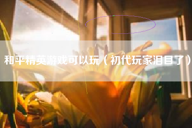 和平精英游戏可以玩（初代玩家泪目了）
