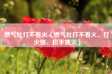 燃气灶打不着火（燃气灶打不着火、打火慢、松手就灭）