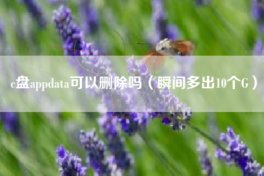 c盘appdata可以删除吗（瞬间多出10个G）