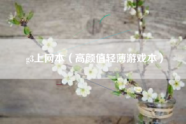 g3上网本（高颜值轻薄游戏本）