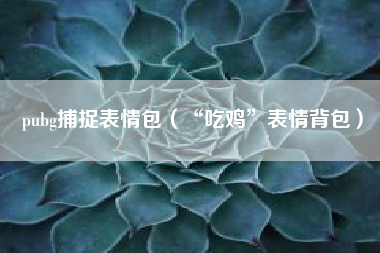 pubg捕捉表情包（“吃鸡”表情背包）