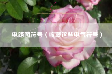 电路图符号（收藏这些电气符号）