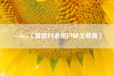 wcdma（皆因对老用户缺乏敬畏）
