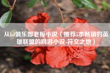 从lol俱乐部老板小说（推荐5本畅销的英雄联盟的网游小说-符文之地）