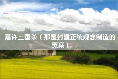 嘉许三国杀（那是封建正统观念制造的冤案）