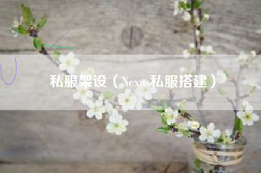 私服架设（Nexus私服搭建）