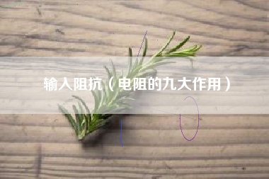 输入阻抗（电阻的九大作用）