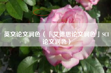 英文论文润色（「艾德思论文润色」SCI论文润色）