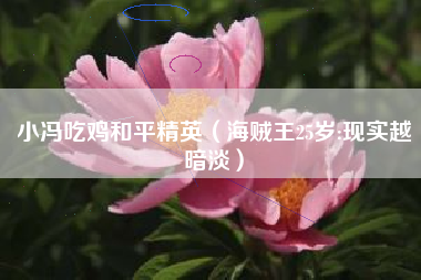 小冯吃鸡和平精英（海贼王25岁:现实越暗淡）