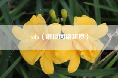 xdp（虚拟网络环境）
