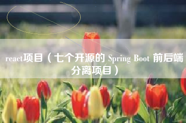 react项目（七个开源的 Spring Boot 前后端分离项目）