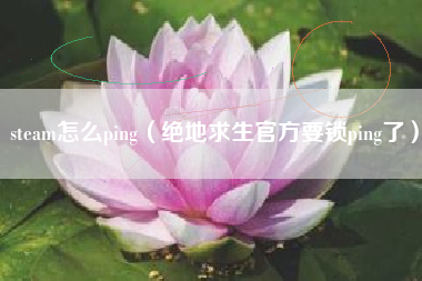 steam怎么ping（绝地求生官方要锁ping了）