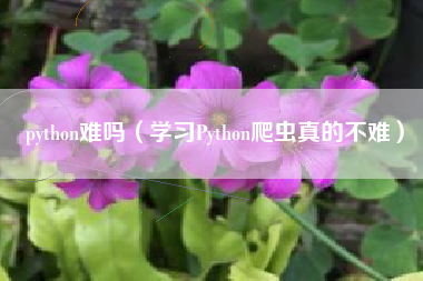 python难吗（学习Python爬虫真的不难）