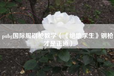 pubg国际服钢枪教学（《绝地求生》钢枪才是正道）