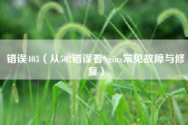 错误403（从502错误看Nginx常见故障与修复）