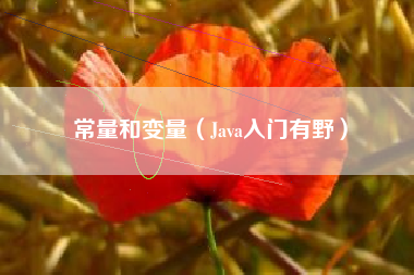 常量和变量（Java入门有野）
