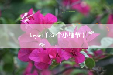 keyset（35 个小细节）