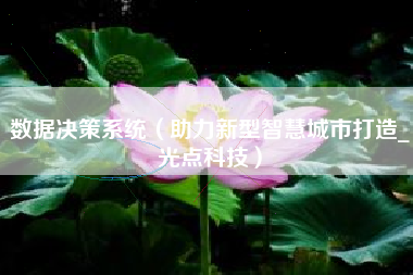 数据决策系统（助力新型智慧城市打造_光点科技）