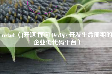 redash（[开源]面向 DevOps 开发生命周期的企业低代码平台）