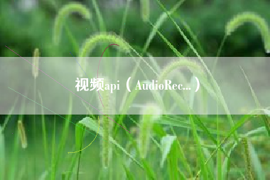 视频api（AudioRec...）