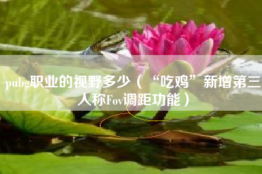 pubg职业的视野多少（“吃鸡”新增第三人称Fov调距功能）