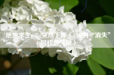 绝地求生pubg突然下降（4AM的“消失”同样很关键）